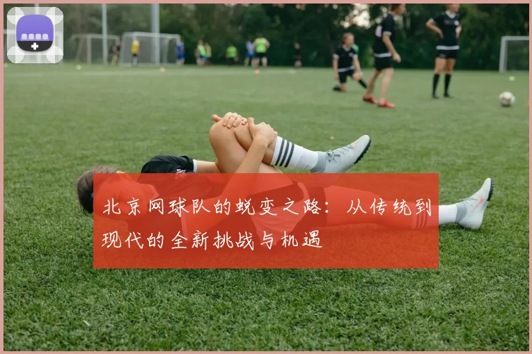 北京网球队的蜕变之路:从传统到现代的全新挑战与机遇