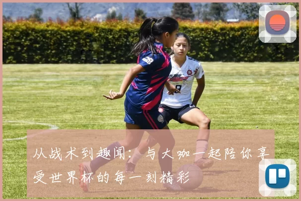从战术到趣闻:与大咖一起陪你享受世界杯的每一刻精彩