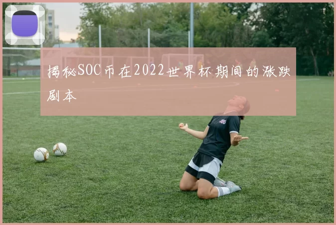 揭秘SOC币在2022世界杯期间的涨跌剧本