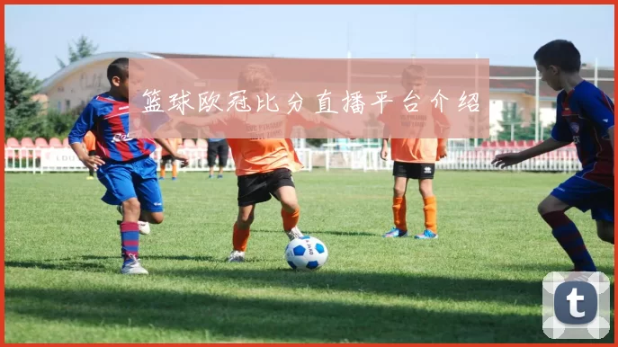 篮球欧冠比分直播平台介绍