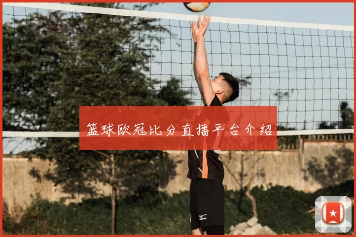 篮球欧冠比分直播平台介绍