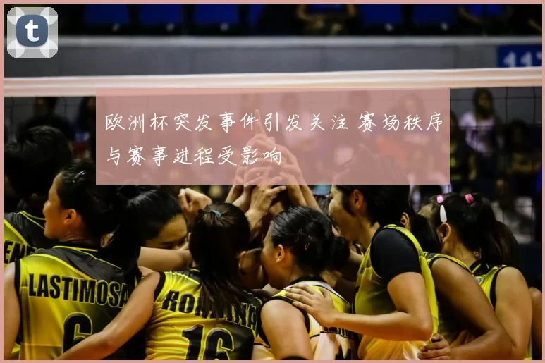 欧洲杯突发事件引发关注 赛场秩序与赛事进程受影响