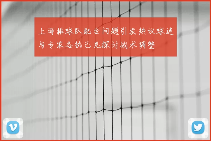 上海排球队配合问题引发热议球迷与专家各执己见探讨战术调整