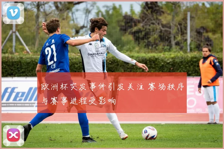 欧洲杯突发事件引发关注 赛场秩序与赛事进程受影响