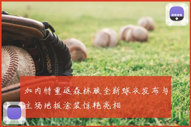 加内特重返森林狼全新球衣发布与主场地板涂装惊艳亮相