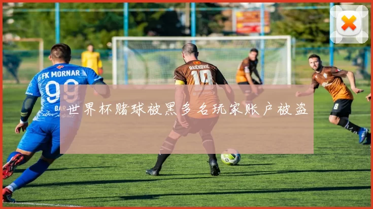 世界杯赌球被黑多名玩家账户被盗
