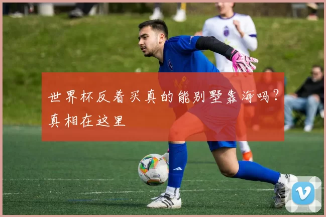 世界杯反着买真的能别墅靠海吗?真相在这里