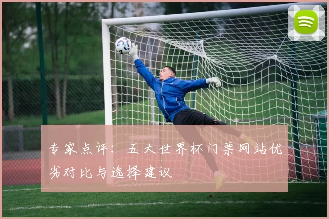 专家点评:五大世界杯门票网站优劣对比与选择建议